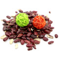 Best selling split kidney bean the not complete kidney bean